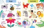 Touch-and-Feel First Words spread