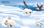 Gevaarlijke dieren stickerboek spread