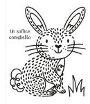 Amici animali pagina interna