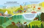 Viaggio in Artide pagina interna