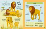 Animais miolo