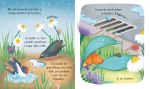L'acqua pagina interna