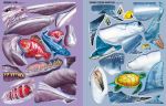 Construis tes requins avec des autocollants page intérieure