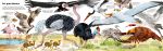 Mon grand livre des animaux page intérieure