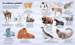 Mon grand livre des animaux page intérieure
