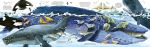 Mon grand livre des animaux marins page intérieure