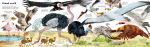 Il grande libro degli animali pagina interna