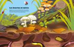 Insectes et autres petites bêtes page intérieure