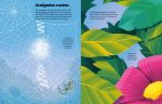 Insectes et autres petites bêtes page intérieure