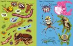 Insectes et autres petites bêtes page intérieure