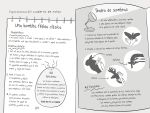 Nora la inventora y el hada malvada - LIBRO 6 página interior