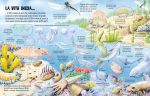 Il mondo dei dinosauri pagina interna
