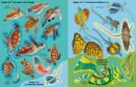 Les reptiles page intérieure