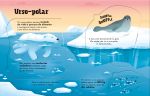 Animais grandões miolo