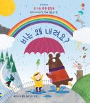 호기심 퐁퐁 플랩북 우리 아이의 첫번째 질문과 답 비는 왜 내려요? book cover