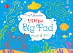 집중력 놀이 Big pad 신나는 점 잇기 book cover