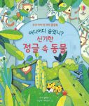 어디어디 숨었니? 신기한 정글 속 동물 book cover