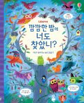 깜깜한 밤에 너도 찾았니? 머리가 좋아지는 숨은그림찾기 book cover