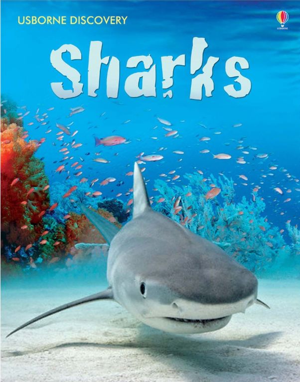 Discovery Sharks