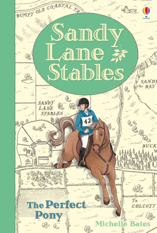 Sandy Lane Stables The Perfect Pony