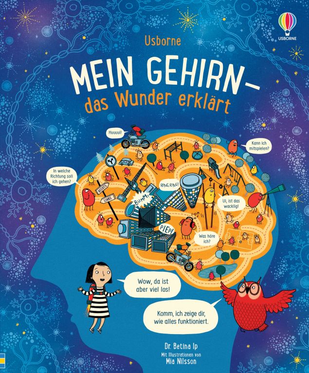 Mein Gehirn – das Wunder erklärt