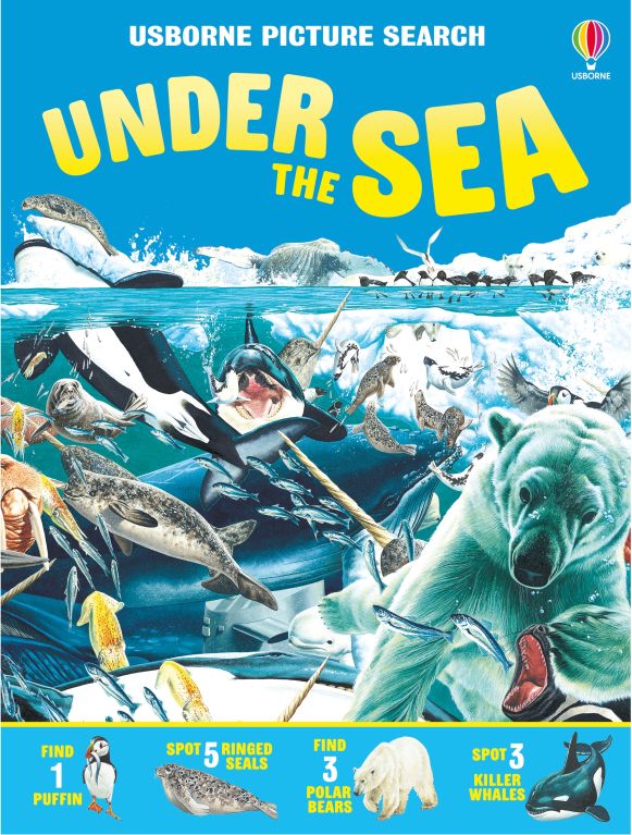 The Great Undersea Search