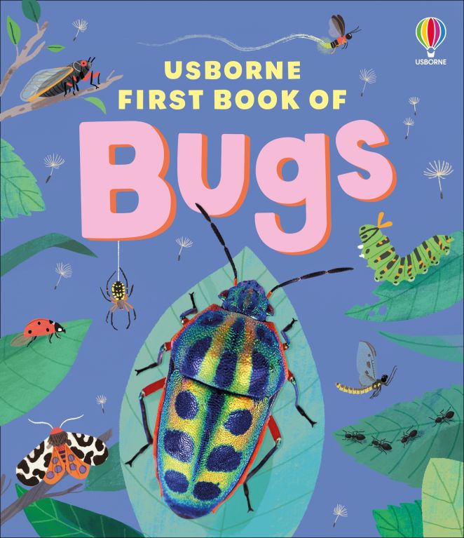 The Usborne First Book of Bugs