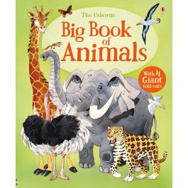 Big Book of Animals | Usborne | Be Curious