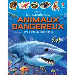 Construis tes animaux dangereux | Usborne | Des livres pour explorer le ...