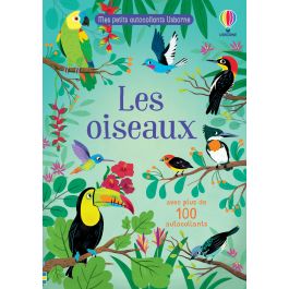 Les oiseaux | Usborne | Des livres pour explorer le monde
