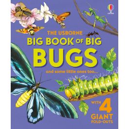 Big Book of Big Bugs | Usborne | Be Curious