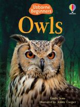 Owls book cover