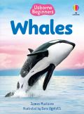 Beginners Whales book cover