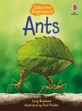 Ants book cover