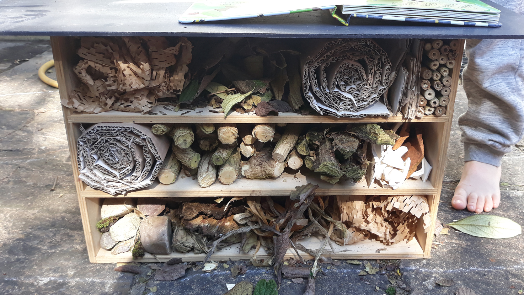 How to build a bug hotel