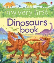 My Very First Dinosaurs Book book cover