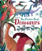 Big Picture Book Dinosaurs book cover
