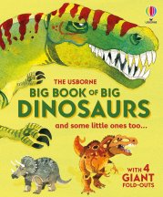Big Book of Big Dinosaurs book cover