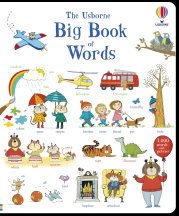 Big Book of Words book cover