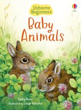 Baby Animals (Usborne Beginners) book cover