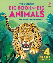 Big Book of Big Animals book cover