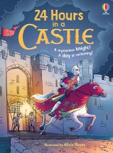 24 Hours in a Castle book cover