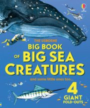 Big Book of Big Sea Creatures book cover