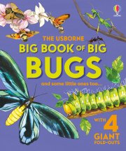Big Book of Big Bugs book cover