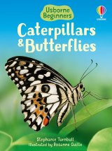 Caterpillars and Butterflies (Usborne Beginners) book cover