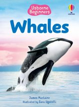 Whales (Usborne Beginners) book cover