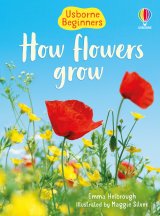 How Flowers Grow (Usborne Beginners) book cover