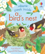 Peek Inside a Bird's Nest book cover