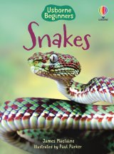 Snakes (Usborne Beginners) book cover