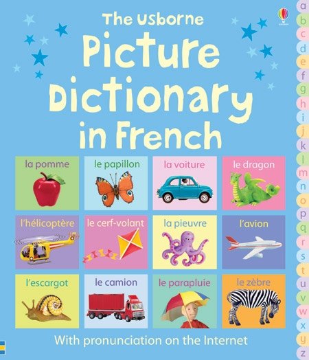 Picture Dictionary in French book cover